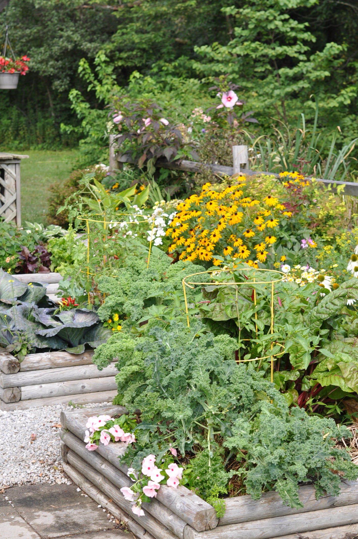 How To Enhance Your Garden With Gravel