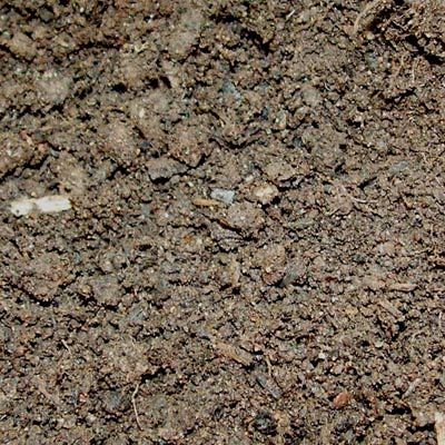 What is sandy soil?